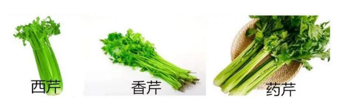 现代农业科技有限公司